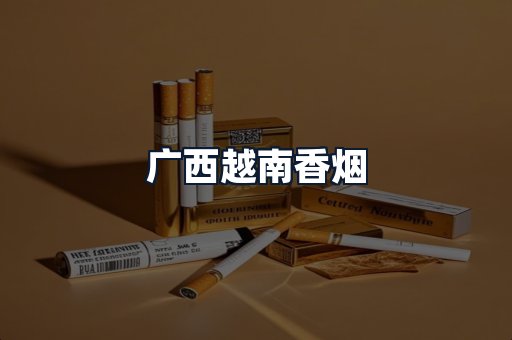 广西越南香烟